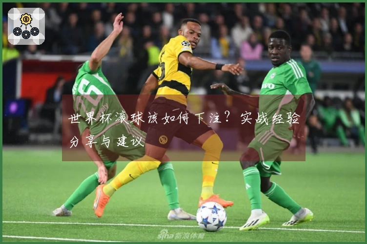 世界杯滚球该如何下注？实战经验分享与建议