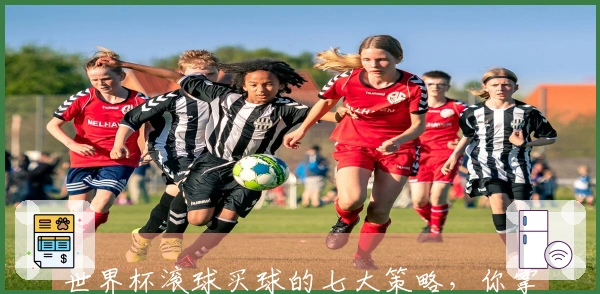 世界杯滚球买球的七大策略，你掌握了吗